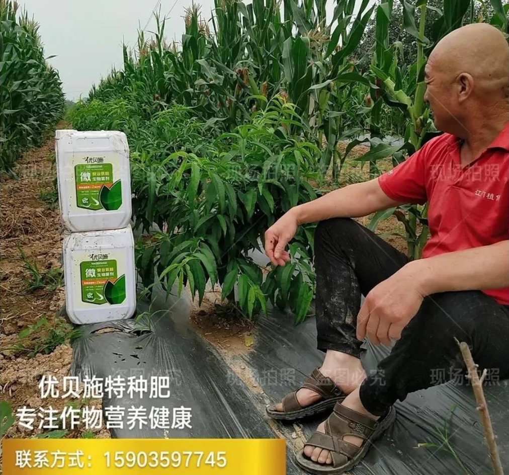谈球吧app:【实探】化肥企业新动向：春耕保供收尾后市出口机遇有望显现